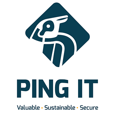 Ping IT Services