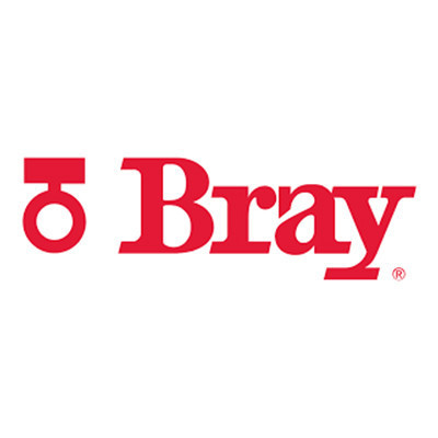 Bray International