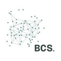 BCS Consultancy